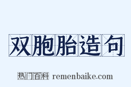双胞胎造句是什么意思的图片